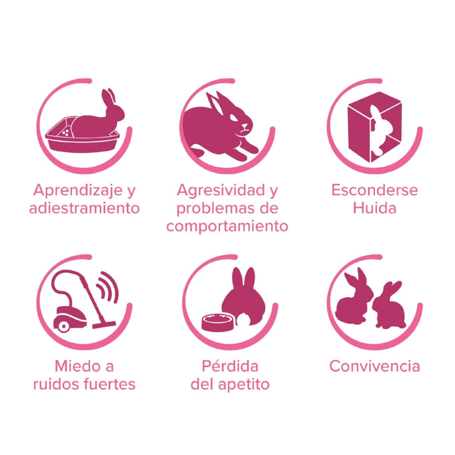 Beaphar RabbitComfort Difusor y Recambio para conejos, , large Imagen numero 4