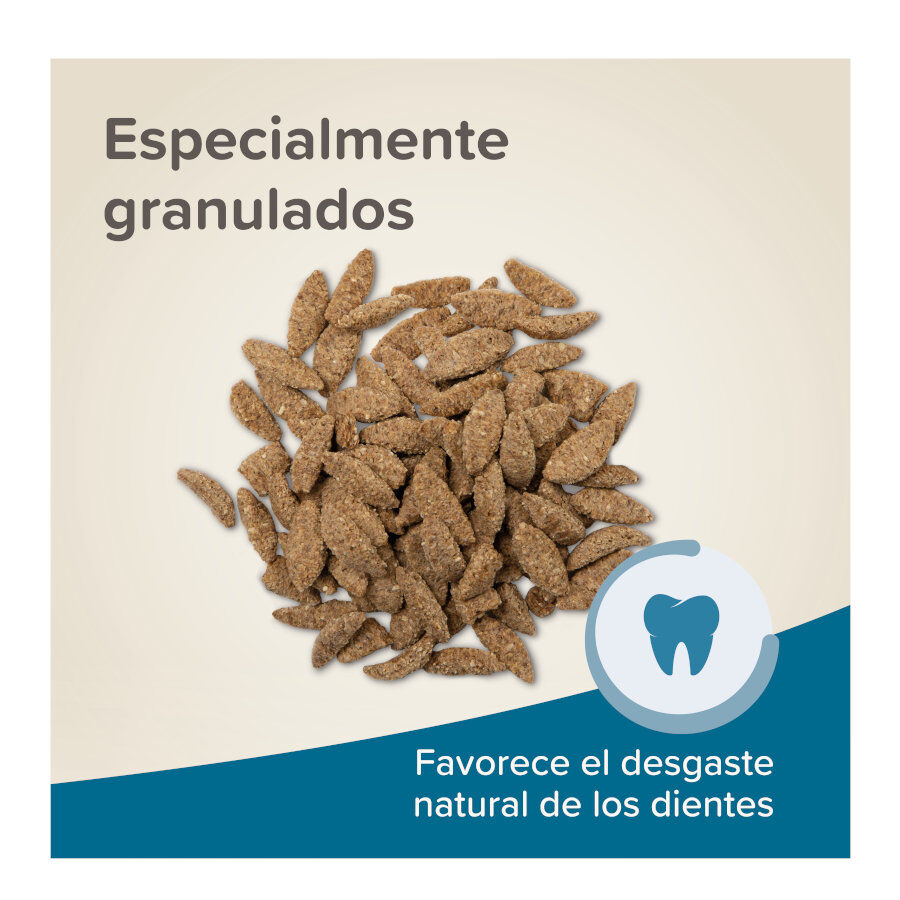 Beaphar Care+ pienso para chinchillas, , large Imagen numero 6