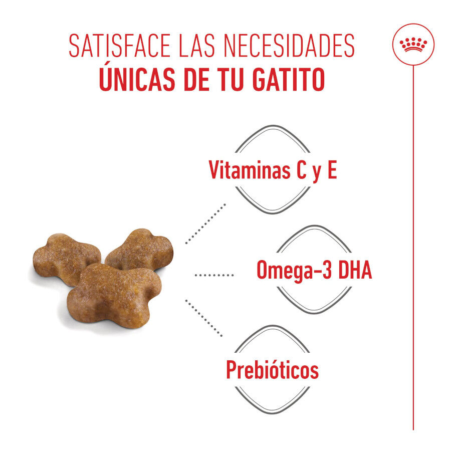 Royal Canin Kitten pienso para gatos thumbnail