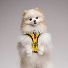 Dukier Superdog Arnés Reversible Estampado Superhéroes para perros, , large image number null