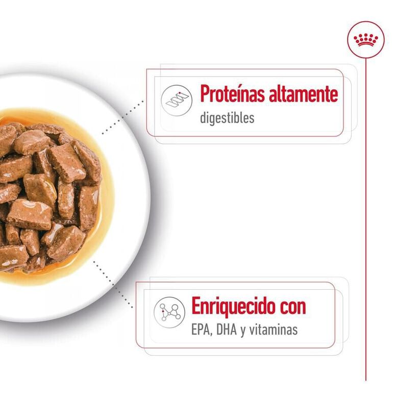 Royal Canin Maxi Ageing sobre en salsa para perros thumbnail