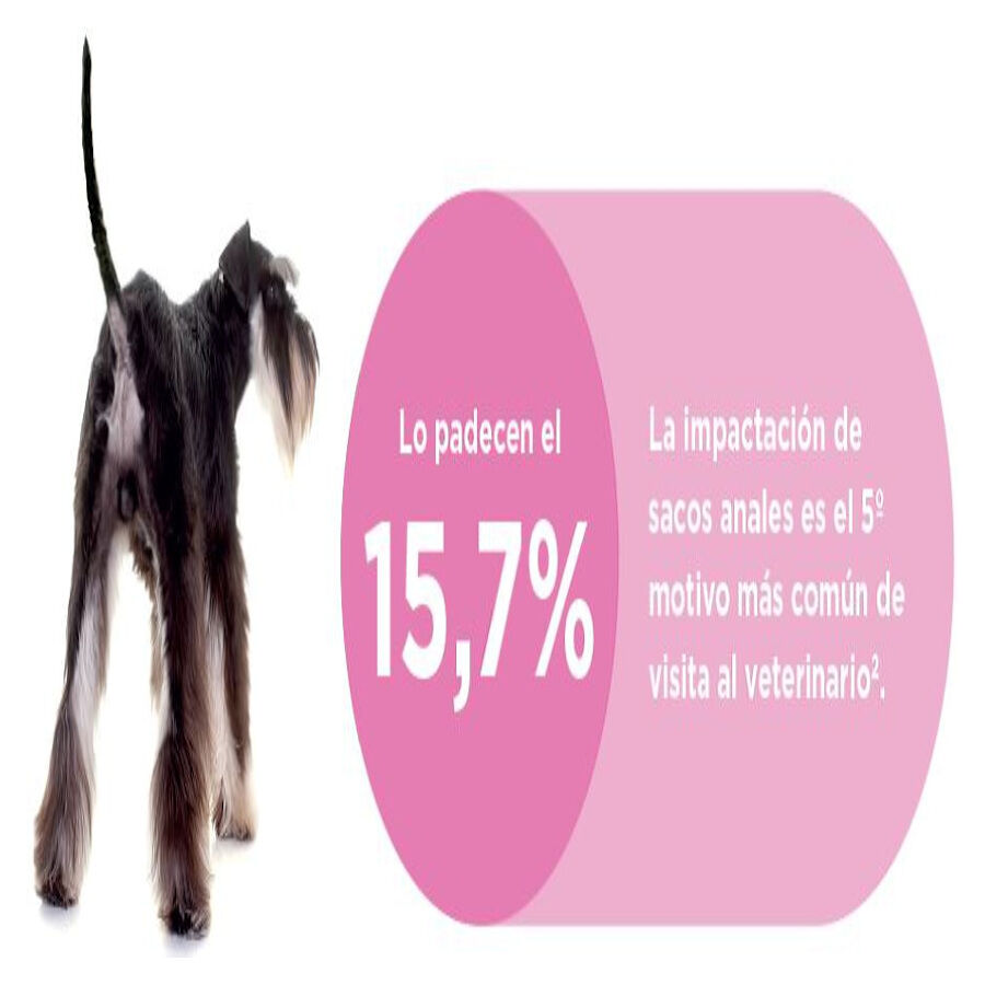 Ecuphar Proglan Suplemento para perros thumbnail