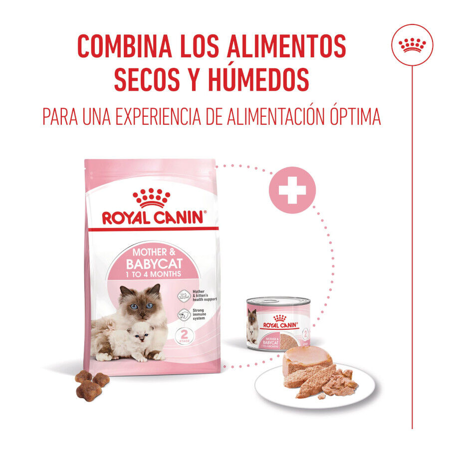 Royal Canin Mother &amp; Babycat pienso para gatos thumbnail