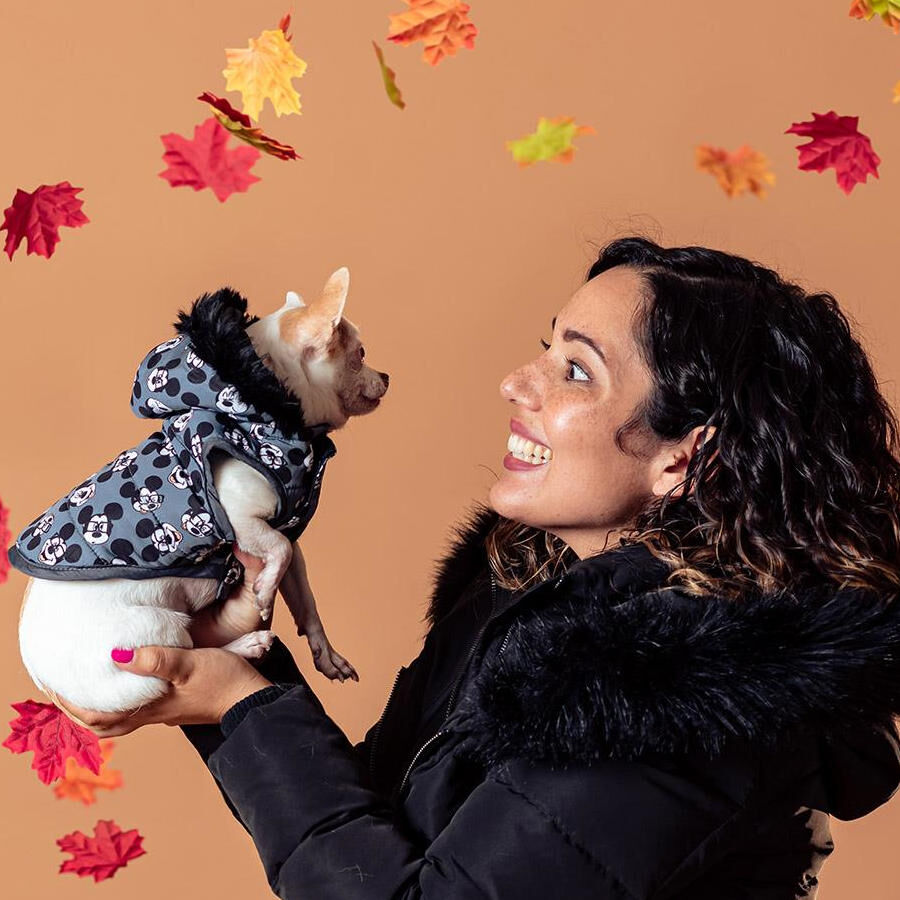 Disney Mickey Mouse Abrigo Gris con Estampado para perros thumbnail