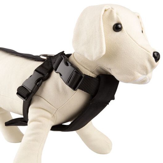 TK-Pet Arnés para perros para el coche homologado image number null