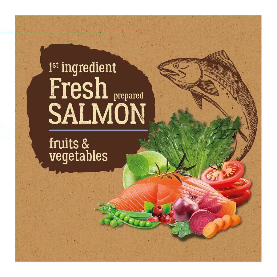 3 kg True Origins Pure Adult Mini Salm&oacute;n pienso para perros, , large Imagen numero 2