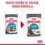 85 g Royal Canin Urinary Sobre en Salsa para gatos, , large indicador imagen numero 3