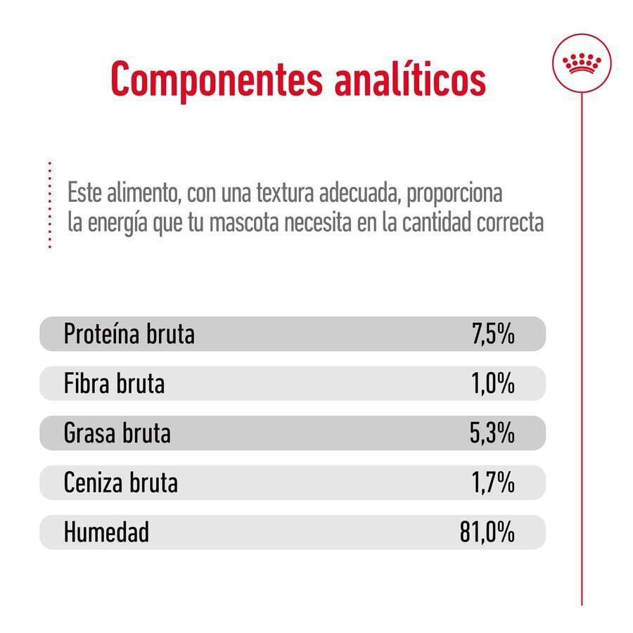 Royal Canin Maxi Adult Carne sobre en salsa para perros thumbnail