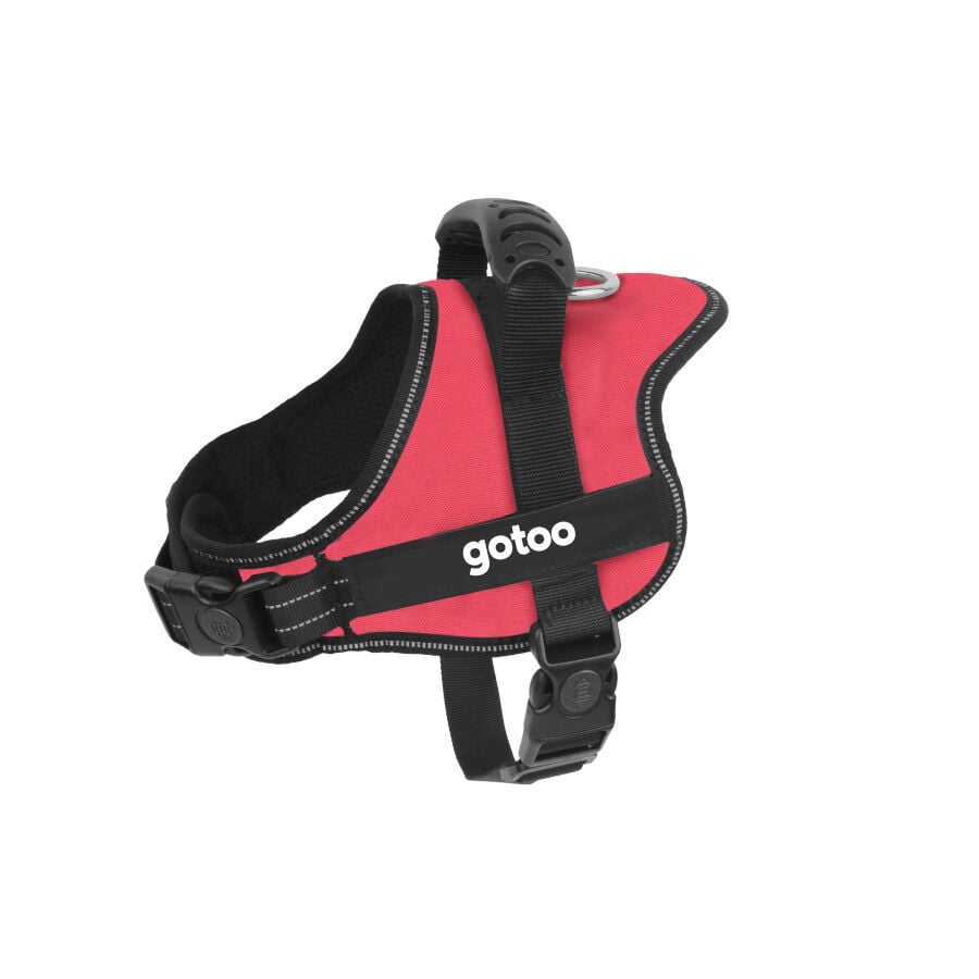 Gotoo Arn&eacute;s antitirones rojo para perros, , large Imagen numero 1