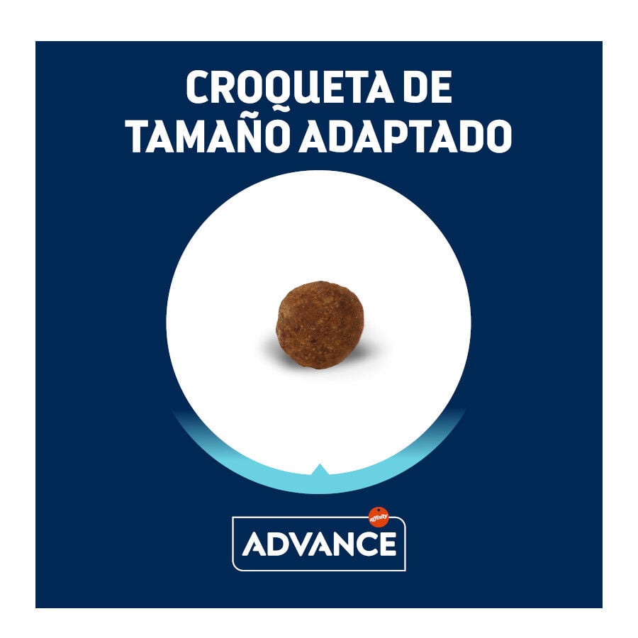 1.5 kg Advance Active Defense Yorkshire Terrier Adult pienso para perros, , large Imagen numero 3