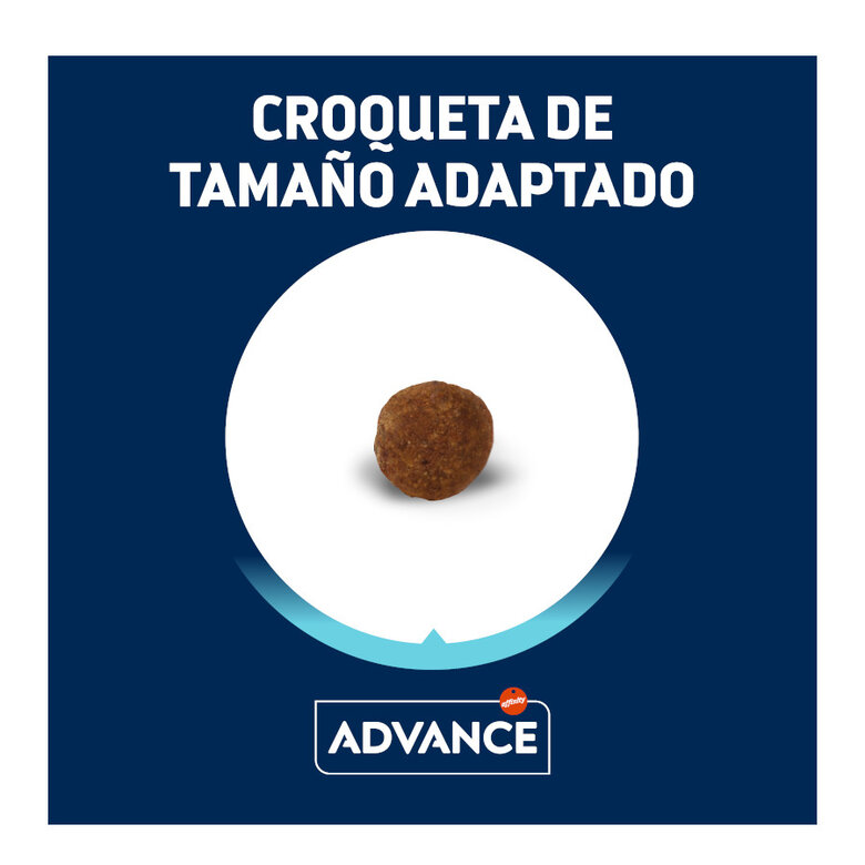 1.5 kg Advance Active Defense Yorkshire Terrier Adult pienso para perros,  Imagen numero 3 1.5 kg Advance Active Defense Yorkshire Terrier Adult pienso para perros, , large Imagen numero 3