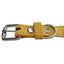 Gotoo Collar cuero verde para perros, , large indicador imagen numero 3