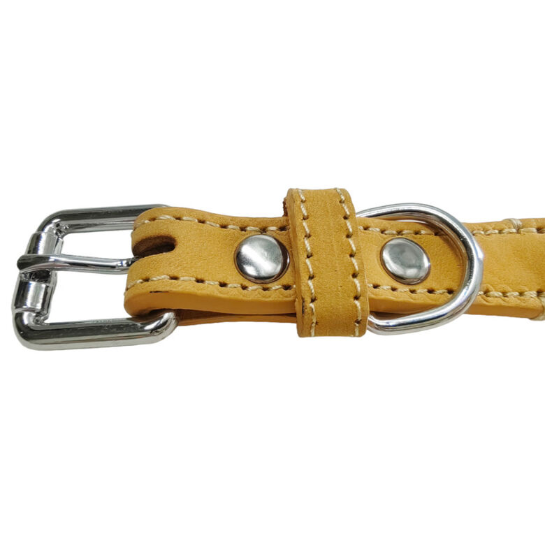 Gotoo Collar cuero verde para perros thumbnail