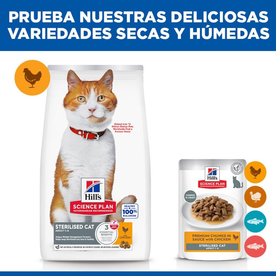 2 x 7 kg Hill's Science Plan Sterilised Adult Pollo pienso para gatos &iexcl;Pack ahorro!, , large Imagen numero 8