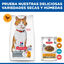 15 kg Hill's Science Plan Sterilised Adult Pollo pienso para gatos, , large indicador imagen numero 8
