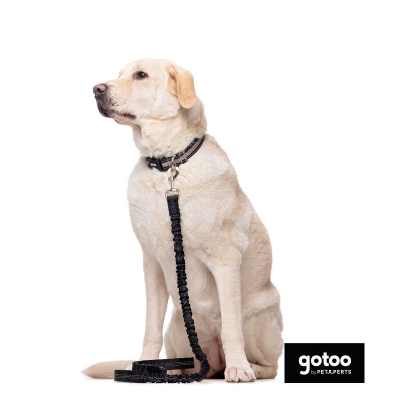 Gotoo Correa doble de nylon negra para perros,  Imagen numero 3 Gotoo Correa doble de nylon negra para perros, , large Imagen numero 3