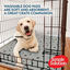 Simple Solution Alfombrillas Lavables para perros – Pack 2, , large indicador imagen numero 6