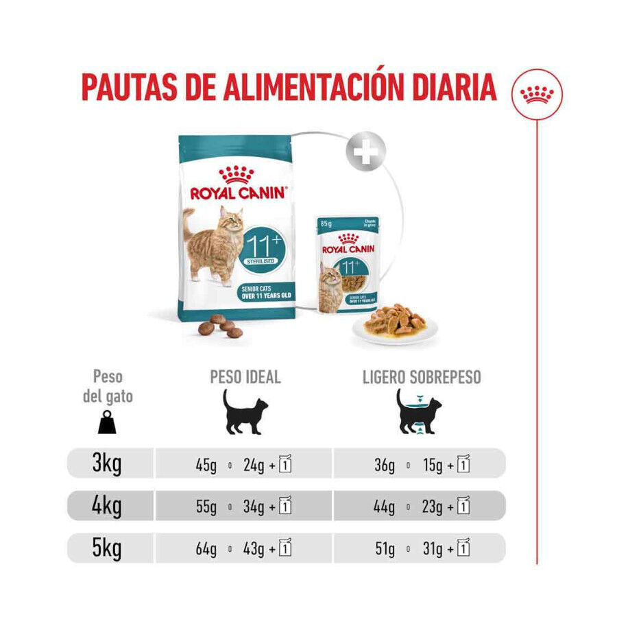 Royal Canin Ageing 11+ Sterilised pienso para gatos thumbnail