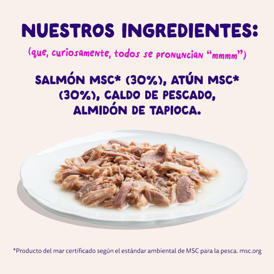 70 g Edgard & Cooper Filetes de Salm&oacute;n y At&uacute;n Lata para gatos, , large Imagen numero 6