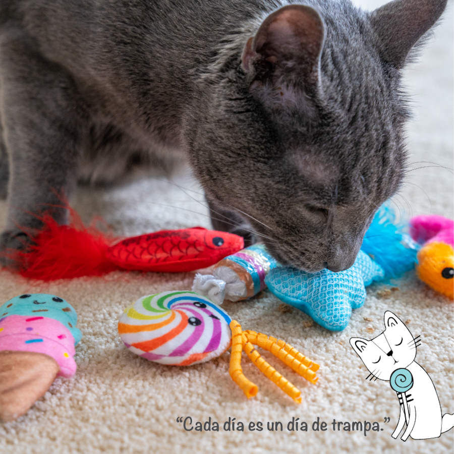 Catstages Sweet Treats Peluches Surtidos para gatos thumbnail