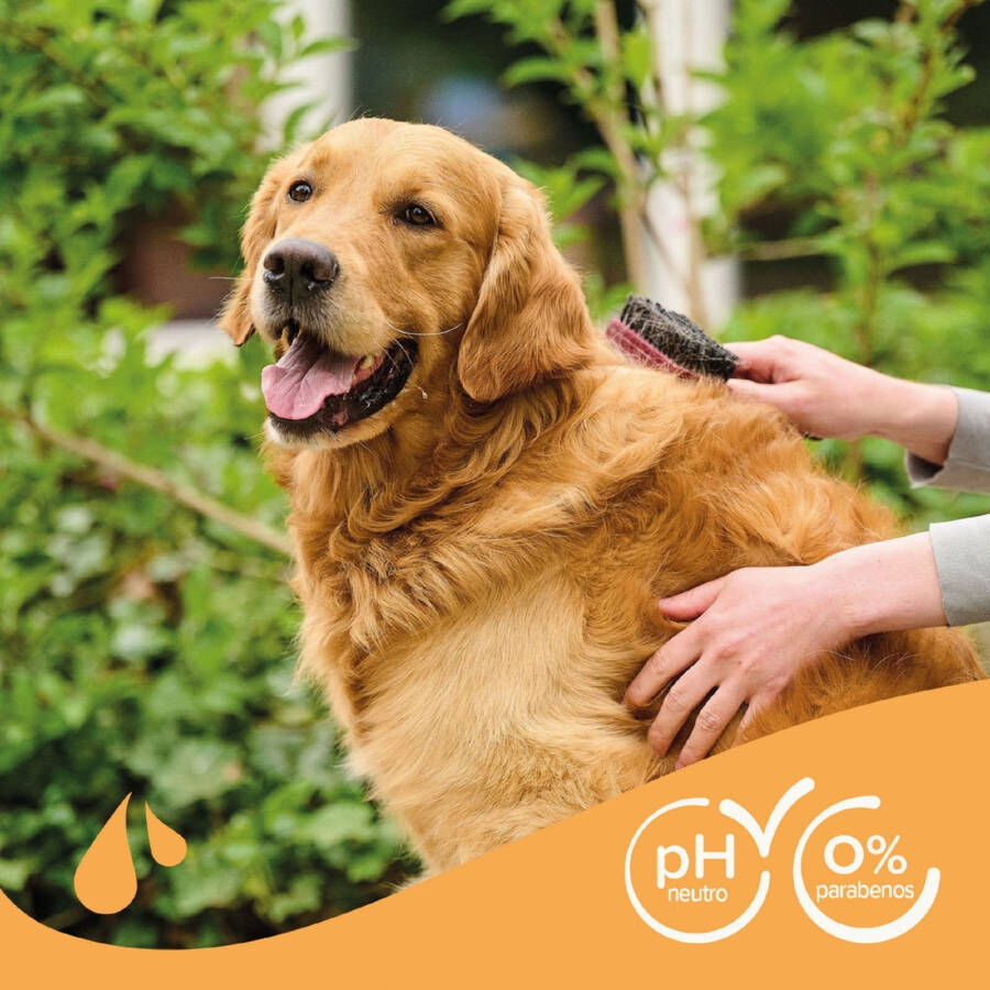 Beaphar Pelo Marrón Champú para perros thumbnail