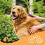 Beaphar Pelo Marrón Champú para perros, , large indicador imagen numero 6