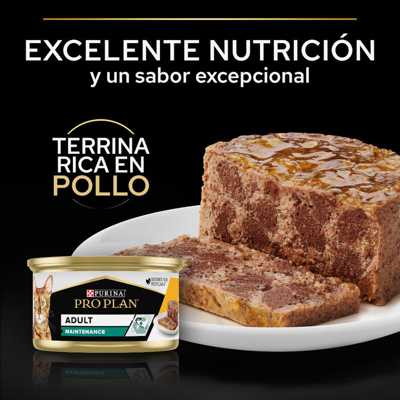 Pro Plan Adult Maintenance Terrina rico en pollo para gatos thumbnail