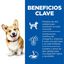 Hill's Science Plan Adult Small & Mini Cordero pienso para perros, , large indicador imagen numero 4