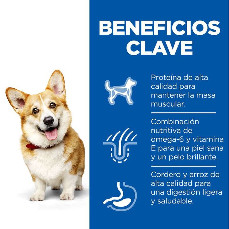 Hill&#039;s Science Plan Adult Small y Mini Cordero pienso para perros thumbnail