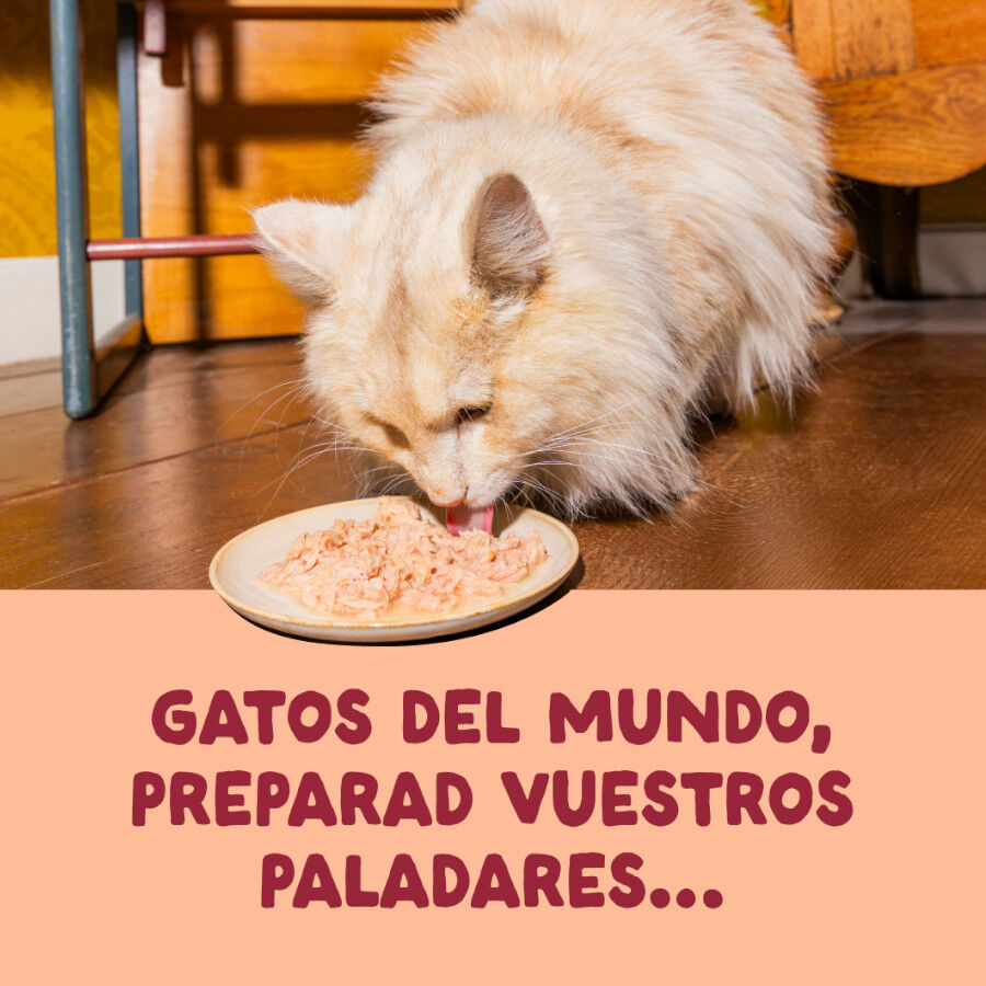 70 g Edgard & Cooper Filetes de Pollo Lata para gatos, , large Imagen numero 2