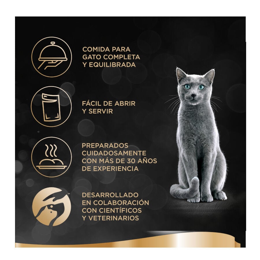 44 tarrinas x 85 g  Sheba Finesse Pollo y Salm&oacute;n en pat&eacute; tarrinas para gatos, , large Imagen numero 2