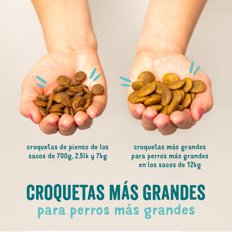 7 kg Edgard & Cooper Adult Bio Pavo pienso para perros,  Imagen numero 5 7 kg Edgard & Cooper Adult Bio Pavo pienso para perros, , large Imagen numero 5