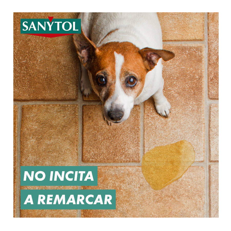 Sanytol Limpiador Desinfectante para hogares thumbnail