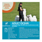Wellness Core Adult Medium/Large Ocean Salmón y Atún pienso para perros, , large image number null