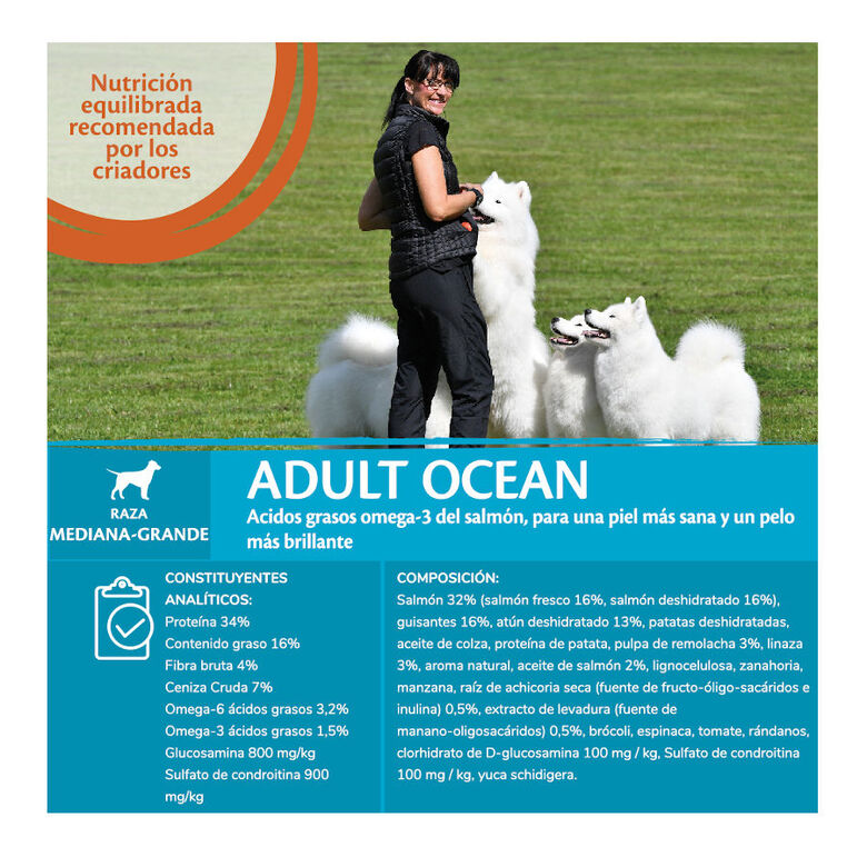 Wellness Core Adult Medium/Large Ocean Salmón y Atún pienso para perros thumbnail