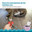 Outward Hound Catstages Kitty Chew Roja Rueda Mordedor para gatos, , large indicador imagen numero 4