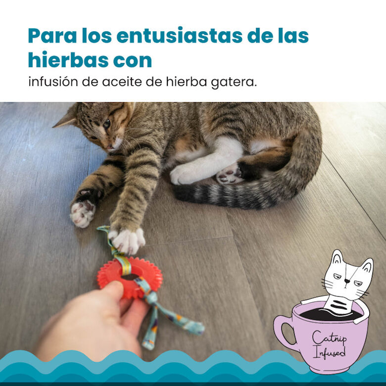 Catstages Kitty Chew Roja Rueda Mordedor para gatos thumbnail
