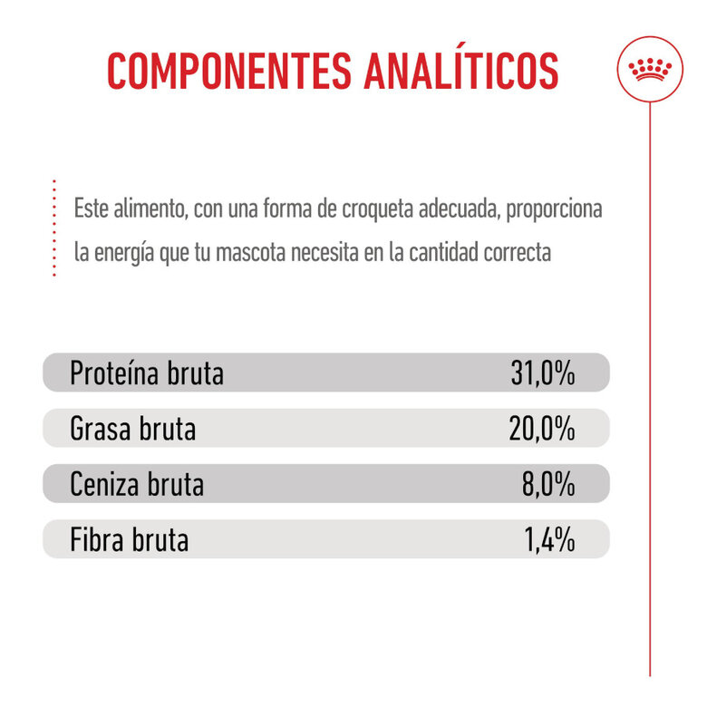 8 kg Royal Canin Mini Puppy pienso para perros,  Imagen numero 9 8 kg Royal Canin Mini Puppy pienso para perros, , large Imagen numero 9
