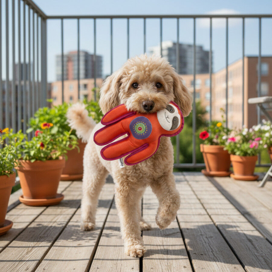 Tootoy! Perezoso Mordedor de Peluche Resistente para perros, , large Imagen numero 1