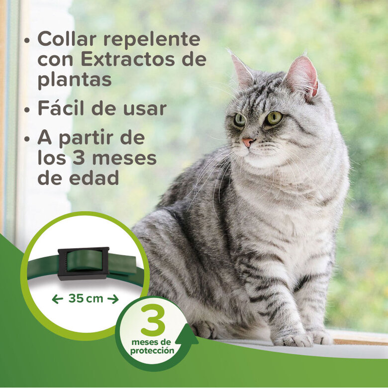 Beaphar Bioband Collar repelente para gatos, , large image number null