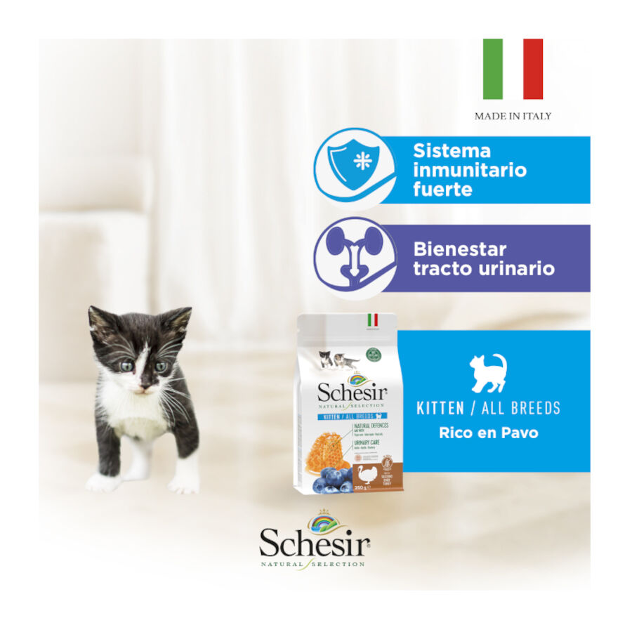 1.4 kg Schesir Kitten Natural Selection Pavo pienso , , large Imagen numero 6