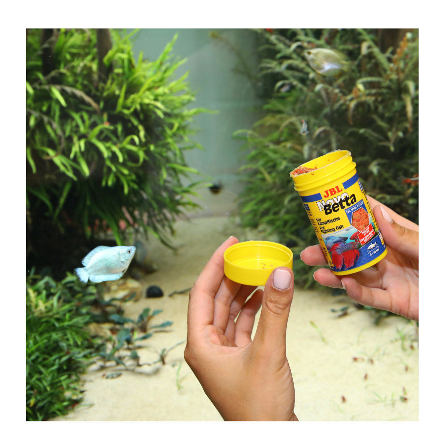 JBL Novo Betta Escamas thumbnail