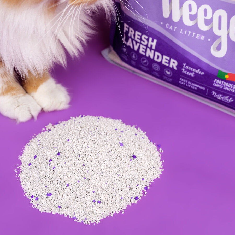 Weego Fresh Lavender Arena Aglomerante para gatos thumbnail