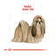 3 kg Royal Canin Adult Shih Tzu pienso para perros , , large indicador imagen numero 4
