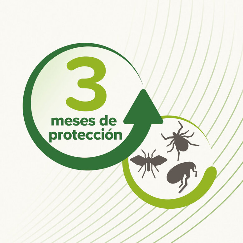 Beaphar Bioband Collar repelente para gatos,  Imagen numero 4 Beaphar Bioband Collar repelente para gatos, , large Imagen numero 4