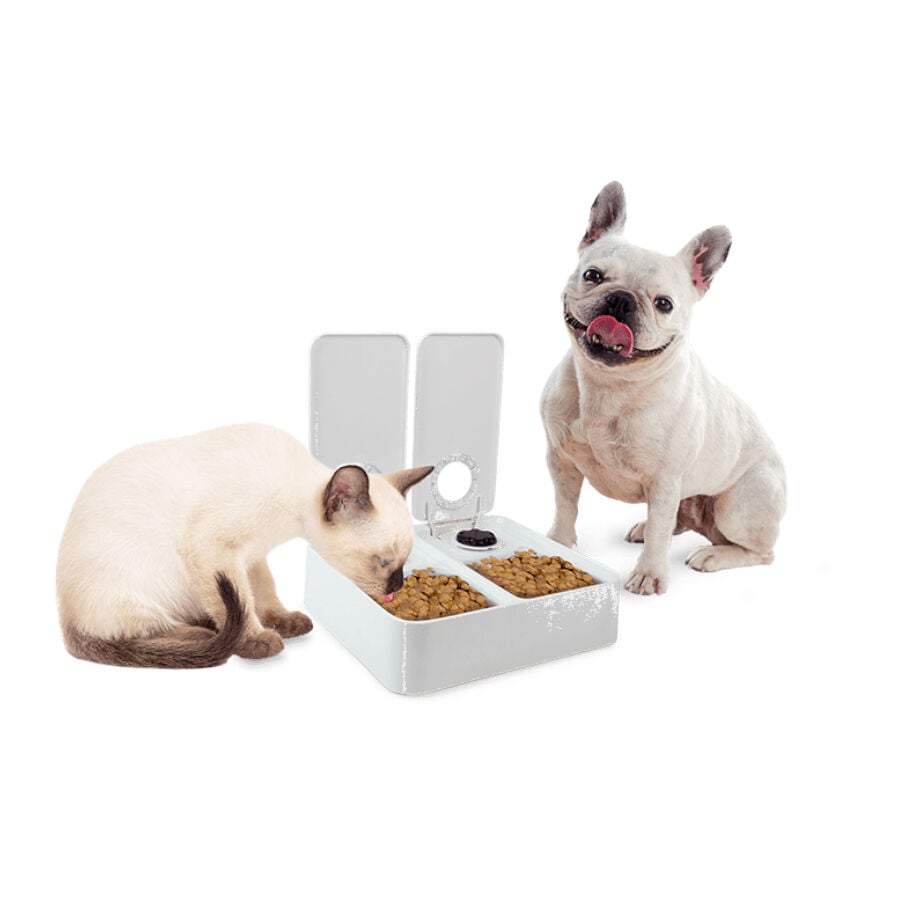 All For Paws Liftstyle4Pets Comedero Autom&aacute;tico Doble para perros y gatos, , large Imagen numero 4