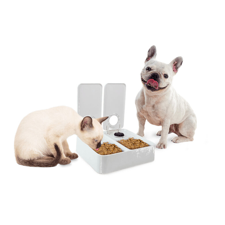 All For Paws Liftstyle4Pets Comedero Automático Doble para perros y gatos, , large image number null
