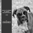 Criadores Adulto Grain Free Pavo pienso para perros de raza mediana y grande, , large image number null