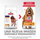 Hill's Mature Light pollo 12kg image number null