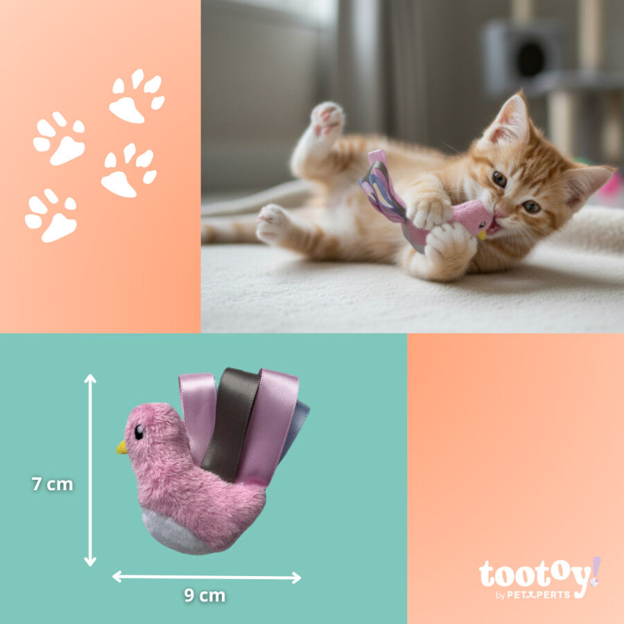 Tootoy! Peluche con Catnip P&aacute;jaro con Lazos para gatitos, , large Imagen numero 4
